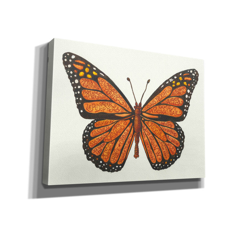 «Monarch Butterfly» par Andrea Strongwater, art mural sur toile, H 12 po x l 16 po x P 0,75 po