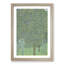 Rosebushes Under the Trees by Gustav Klimt - Picture Frame Painting-62785934-62785938