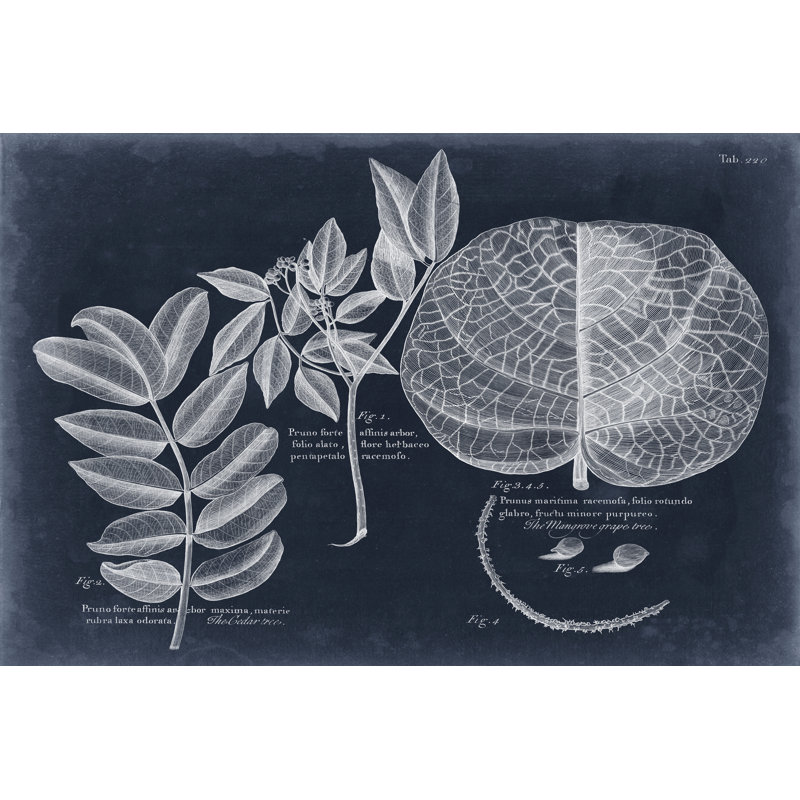 Foliage On Navy I by Vision Studio - Wrapped Canvas Print, 81cm H x 122cm W