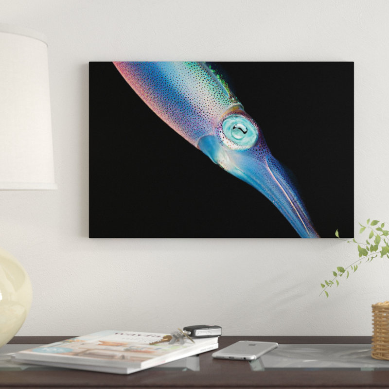 « the caraïbes récif squid », reproduction de photo sur toile, H 8 po x l 12 po x P 0,75 po, Toile tendue, Pas de tapis
