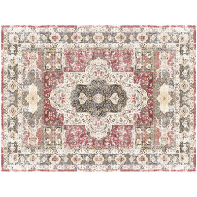 Machine Washable Oriental Medallion Soft Rug
