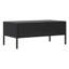 Coffee Table-1310115466