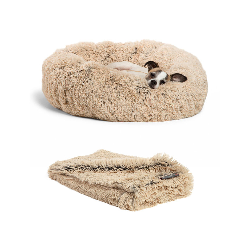 Medium Orthopedic Elevated Donut Dog Bed with Blanket