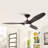 Farmhouse 60" 3-Blade Propeller Ceiling Fan with Lights and Wall Control-1019747257