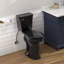 Toilette allongée pour salle de bain Traditional-109050580