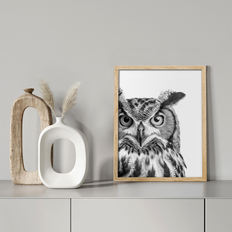 "Photographie de hibou noir et blanc" sur, Naturel, H 10 po x l 8 po