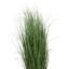 Gazon vert en pot Kellan-22996677