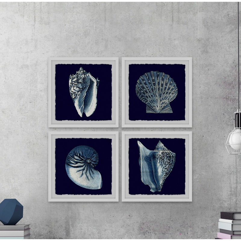 Tout sur les coquillages Quadriptyque - reproduction de cadre photo 4 pièces, H 32 po x l 32 po