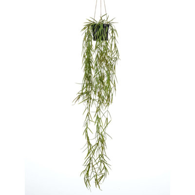 Emerald Artificial Hoya Hanging Bush 80cm in Pot