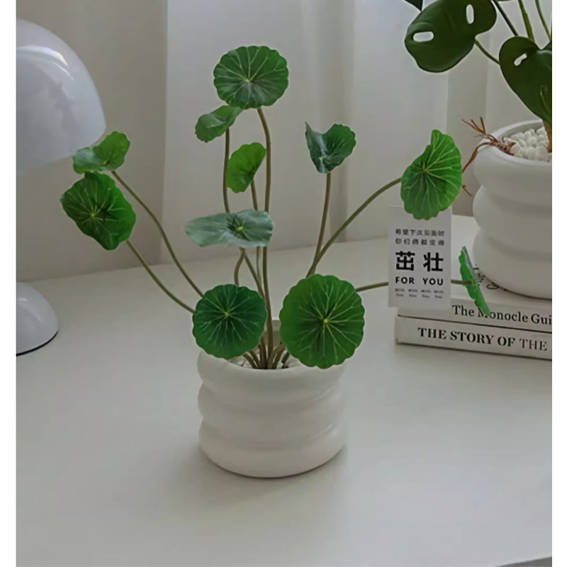 13,39 plante