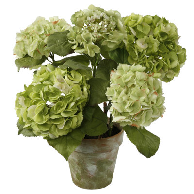 Arrangement floral en pot 5 fleurs en pot hortensia