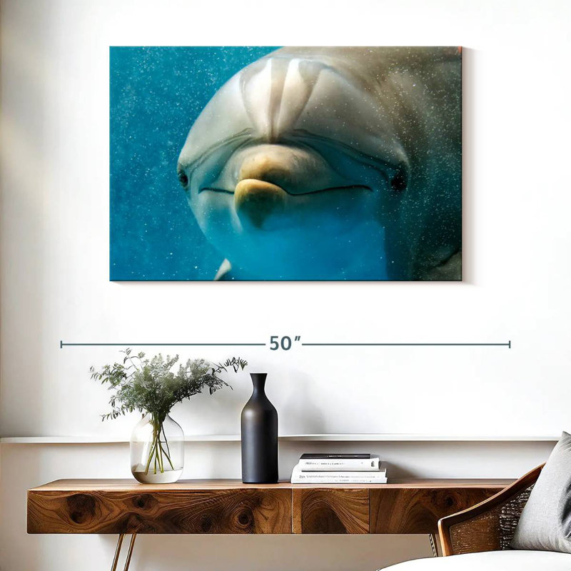 Brampt Nosy Dolphin, 26" H x 39" W