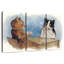 Chat tisonnier-539368056