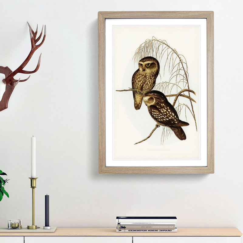Spotted Owls by Elizabeth Gould - Picture Frame Painting Print, Oak Framed, 48cm H x 36cm W x 2cm D