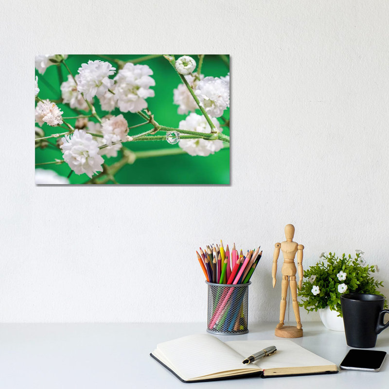 Cherry Tree Blossom by Glauco Meneghelli - Wrapped Canvas Print, 20.32cm H x 30.48cm W x 1.9cm D