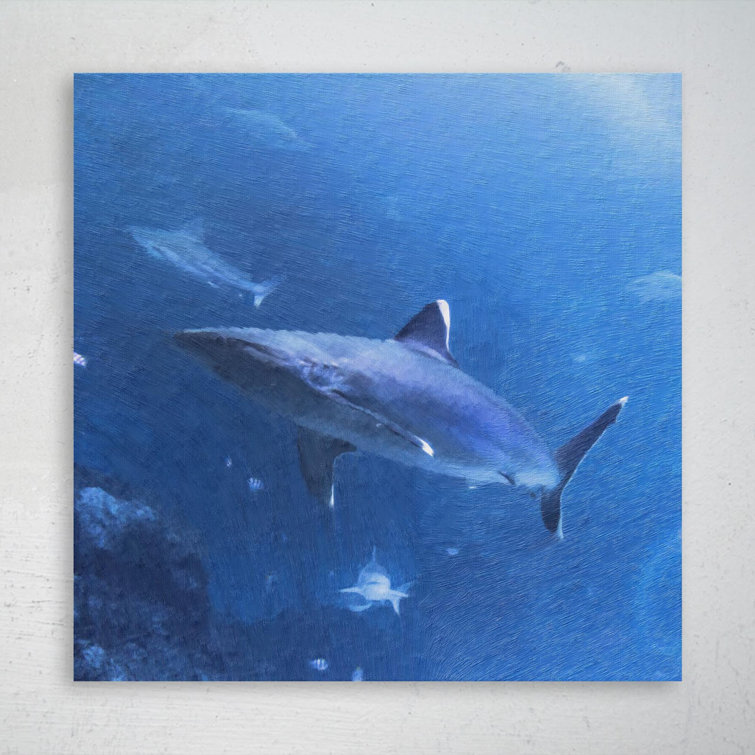 Penn-Plax Jaws Aquarium Decoration – Shark Swim-Through – Small, Shark  Aquarium Liquid Filter Price