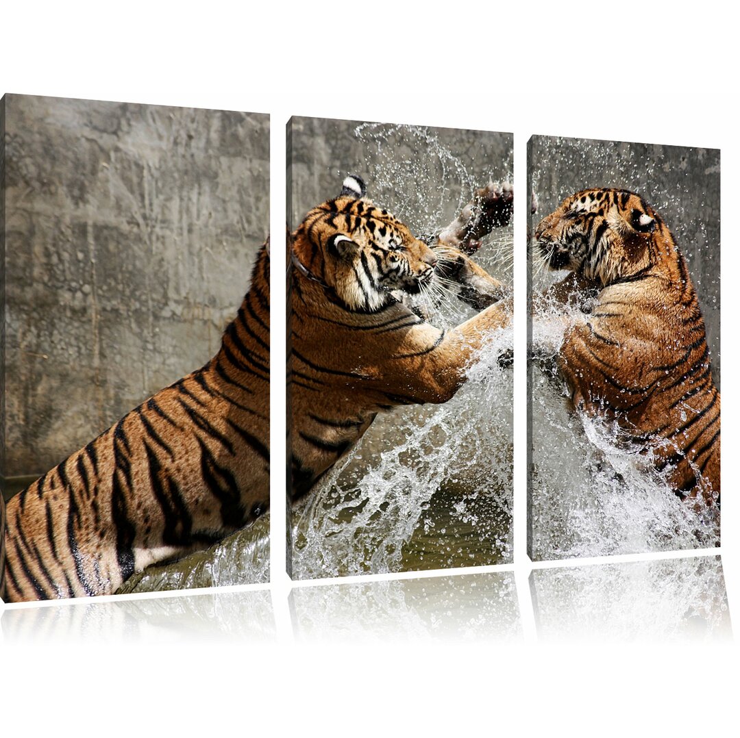 3-tlg. Leinwandbilder-Set „Kämpfende Tiger im Wasser", Fotodruck