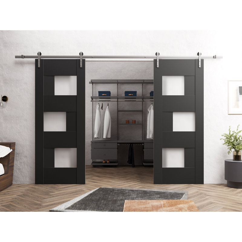 Portes de grange en bois givré Sete, Noir, 48 po x 96 po