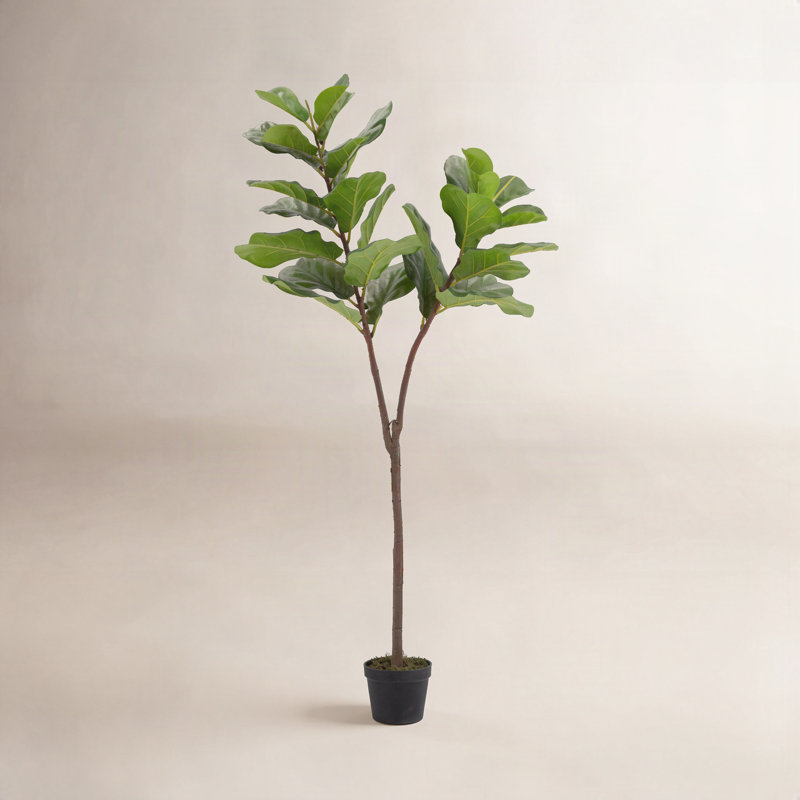 Arbre à figuier artificiel 55,1 po en pot