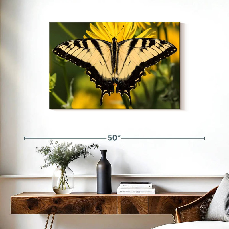 Machaon, pourquoi ?, H 24 po x l 36 po