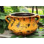 Pot de fleurs en argile aires-103285310