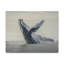 No Frame Print on Canvas-1804801866