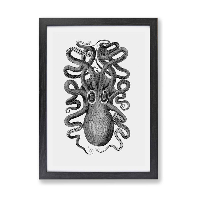 Octopus in Black & White by George Shaw - Framed Print, Black, 45cm H x 63cm W x 2cm D