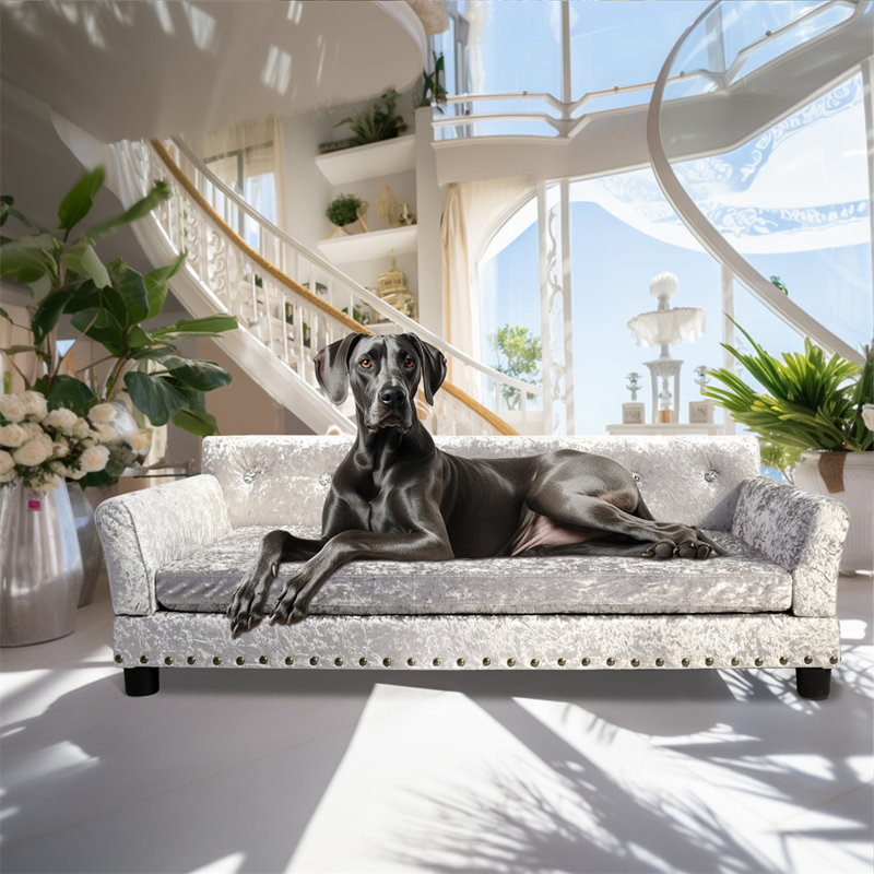 Orthopedic Pet Bed, 40cm H x 120cm W x 74cm D