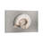 100 Years Of Shell Pearl Edition-97138273