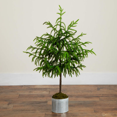 3Ft. Artificial Real Touch Norfolk Island Pine In Metal Tin Planter With Natural Look