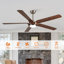 Chantiel 65" 5-Blade Ceiling Fan