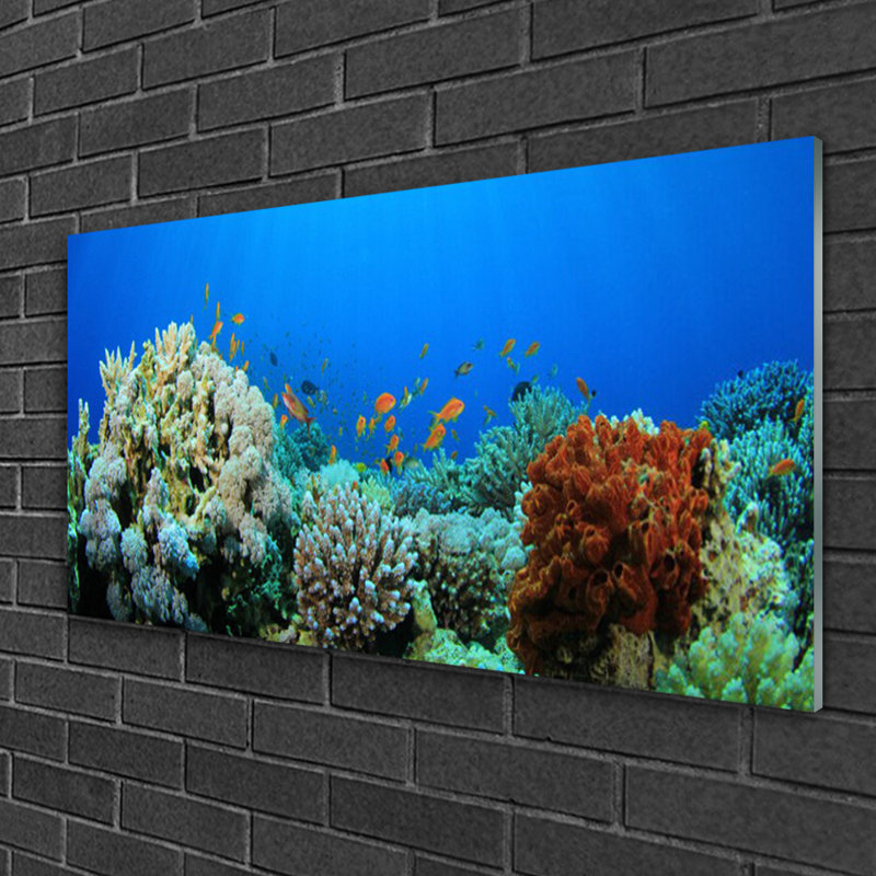 Nature Coral Reef - Unframed Photograph on Glass