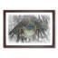 Peacock Feathers in Abstract - Picture Frame Graphic Art Print-55739234-55739231