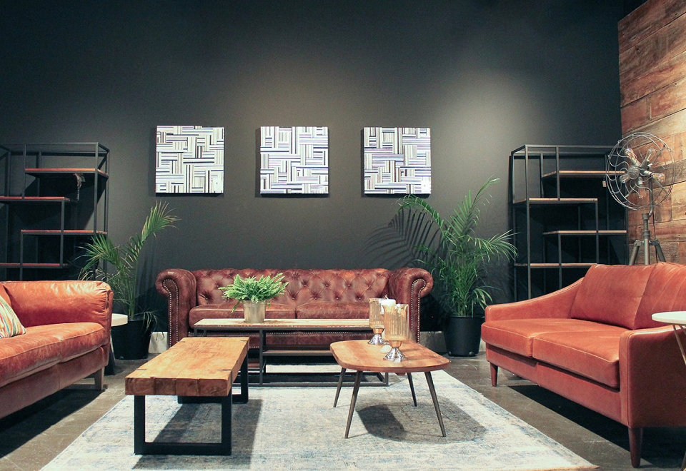 The D-Bodhi Collection