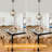1- Light 13'' Rustic Farmhouse Globe Chandelier With Resin 4 Antlers-1549565807