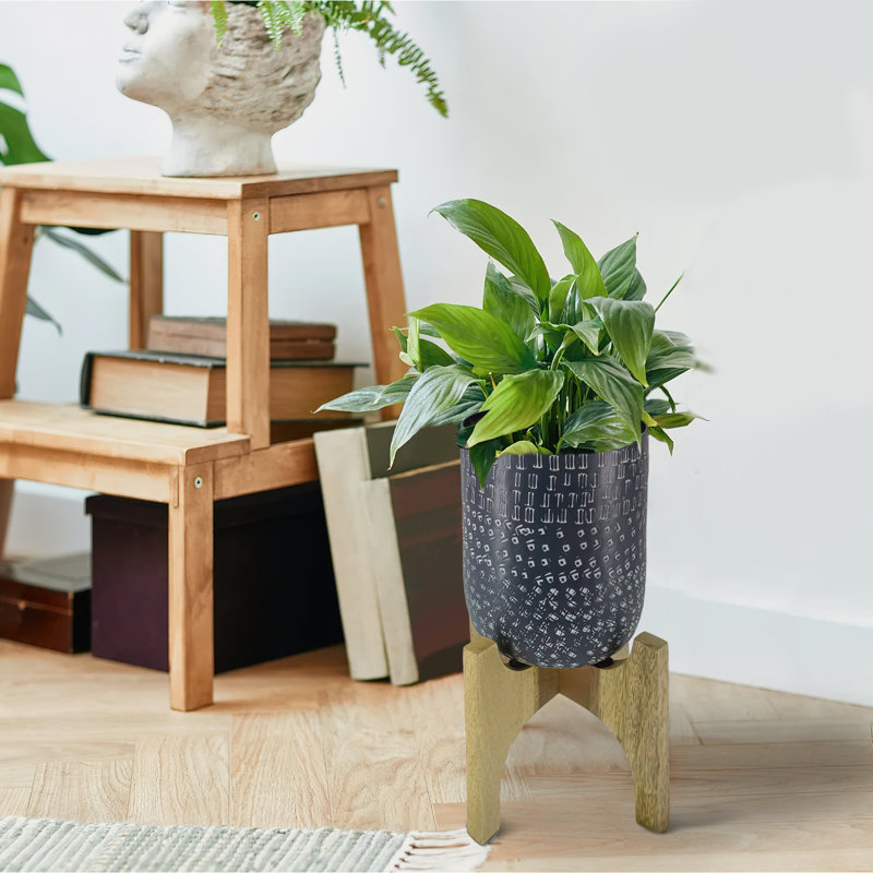 Aryiah Pot Planter, 11" H x 8" W x 8" D