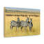 No Frame Print on Canvas-1246468785