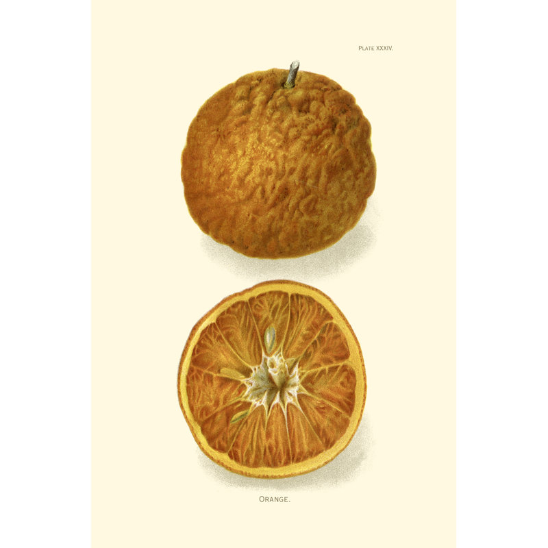 Orange - Wrapped Canvas Art Prints, 46cm H x 30cm W x 3.8cm D