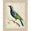 Blue Birds 8 Painting