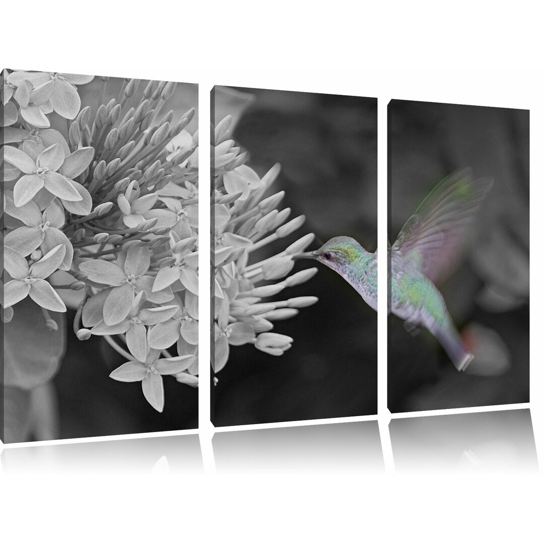 3-tlg. Leinwandbilder-Set „Flinker Kolibri an wunderschöner Blüte", Fotodruck