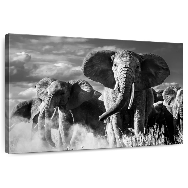 Brampt Elephant Sunset March, 24" H x 36" W