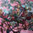Aviary II - Artist Enhanced Canvas Print-1786911071-1786911066