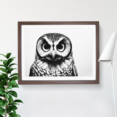 Barn Owl Monochrome - Single Picture Frame Painting