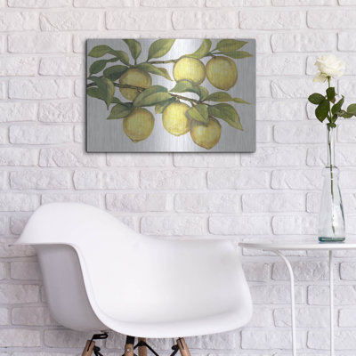 " Luxe Metal Art 'Ripe For Picking II' By Tim O'Toole, Metal Wall Art, 24"x16" " by Tim O'Toole