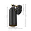 Caniah Single Light Iron Dimmable Armed Sconce-773019661