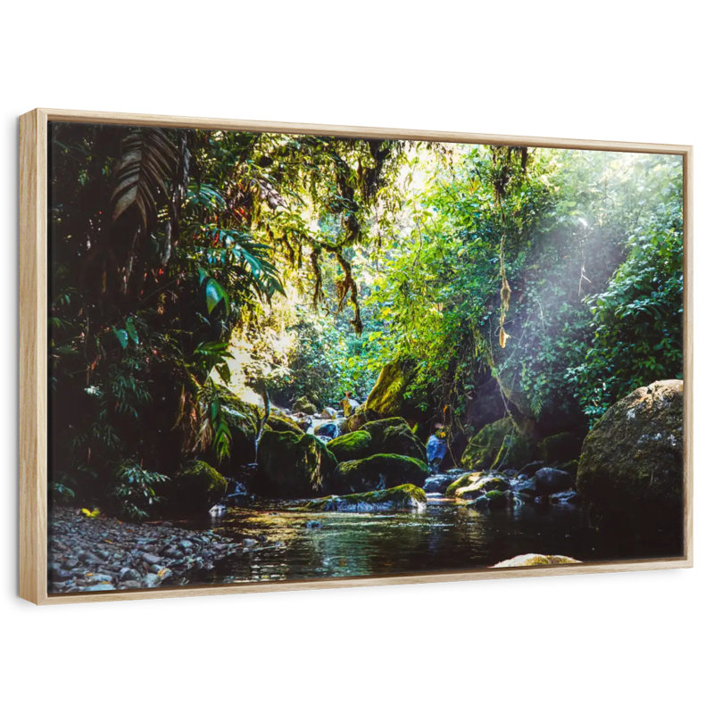 Forest In Panama, Floating Frame Natural Wood, 31" X 21"