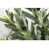 64.6'' Artificial Olive Tree In A Shell Designed Fiberstone Planter