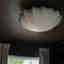 Photos des clients 1 de 1
