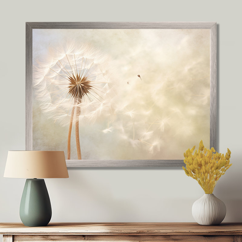 Impression romantique pissenlit blanc IV - Pissenlit blanc, Toile tendue, H 34 po x l 44 po x P 1,5 po