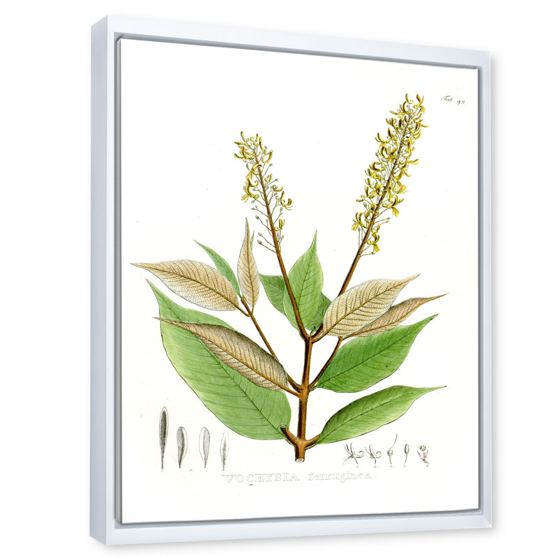 Plante brésilienne rétro V - peinture sur toile, H 32 po x l 24 po x P 1 po, Cadre flottant blanc